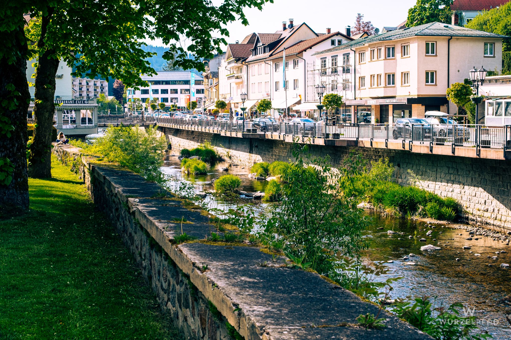Blick über die Alb in St. Blasien